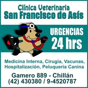 Clínica veterinaria