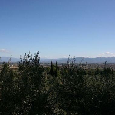 VC