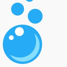 Echo Cleaning