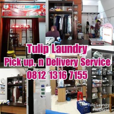 Tulip laundry