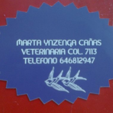 MARTA YNZENGA CAÑAS