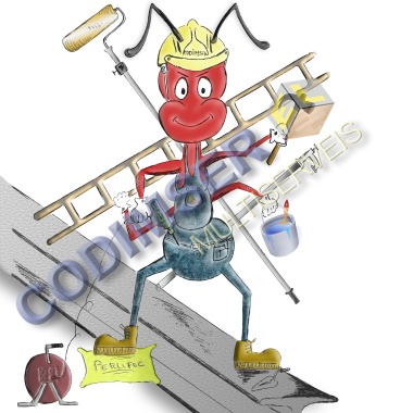 CODIMSER MULTISERVICIOS