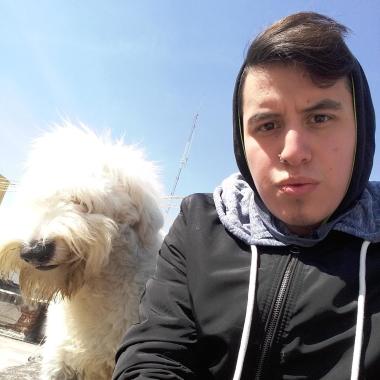 Paseador de peludos