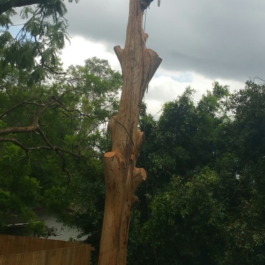 Sir Chopper A Lot Tree Services Pty Ltd