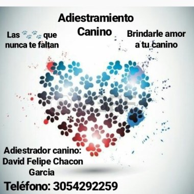 Es tiempo de tomar él control