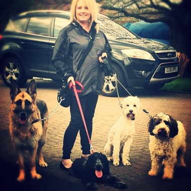 Taking The Lead Dog Walking & Pet Services