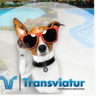 Transviatur
