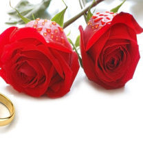 Access Civil Ceremonies