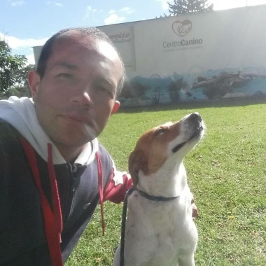 Healthy dog Colombia