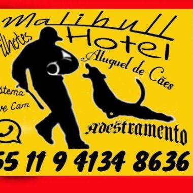 Malibull cães e serviços
