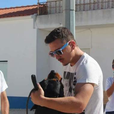 Raimundo K9