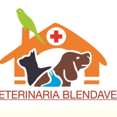 Veterinaria Blendavet