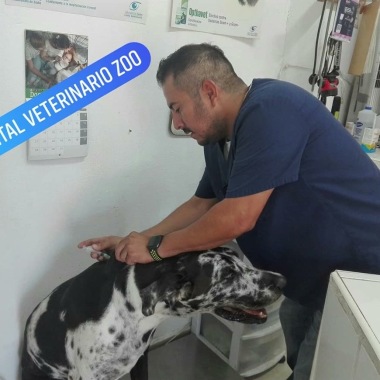 Hospital Veterinario Zoo