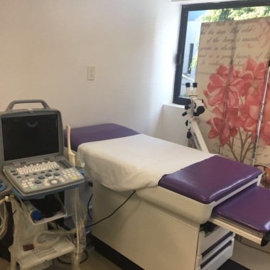 Ginecologia y Servicios de Salud