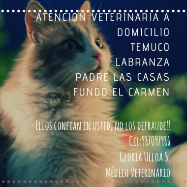 Veterinaria móvil