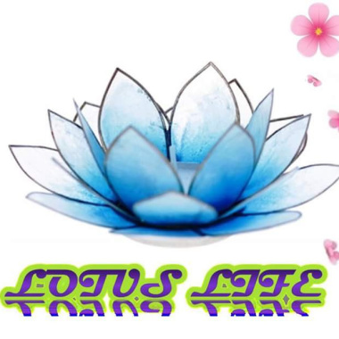INTE BY LOTUS LIFE