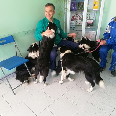 Centro Veterinario Olimpiadi