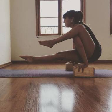 Iyengaryoga