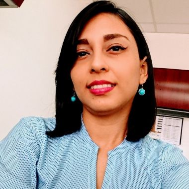 Asesorias en ventas al Sector Publico