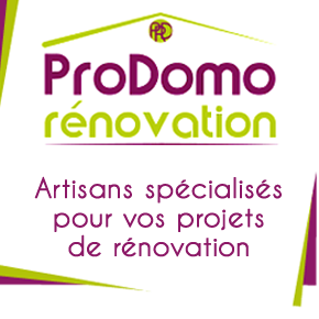 PRO DOMO RENOVATION