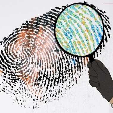 DDS Detectives in Delhi