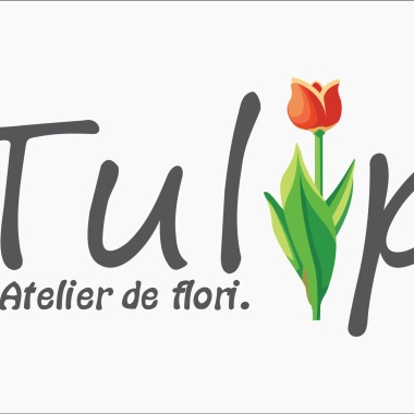 Tulip - Atelier de Flori