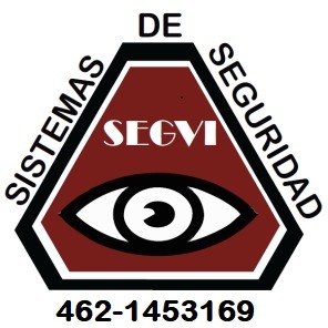 Sistemas de seguridad segvi