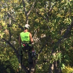 SIMCOE TREEROCK INC.