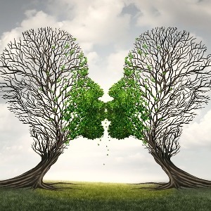 LET'S CHAT COUNSELLING