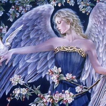 Evoluzione spirituale olistica