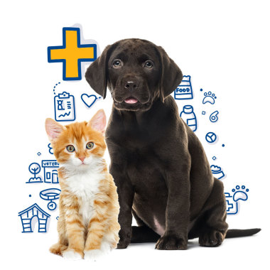 Vingold Veterinary Consult & Farms Limited