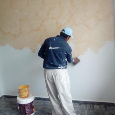Especialista en pintura i alta decoracion.