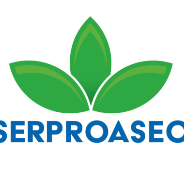 SERPROASEO
