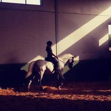 Rocio