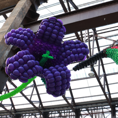 Stéphane Robin Sculpteur sur ballons