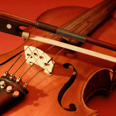 Guillaume, professeur de violon