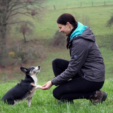 Hundeschule Gemeinsam zum Team