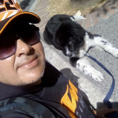 Www.adiestramientocanino.com.co