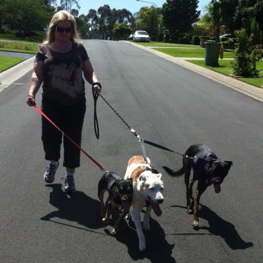Pet Home Care Penrith