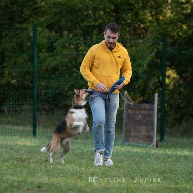 Hugo Durtelle Éducateur Canin
