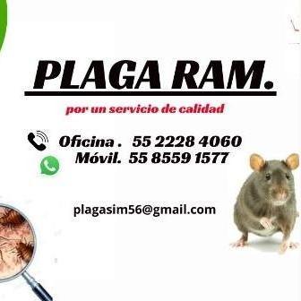 Plaga Ram