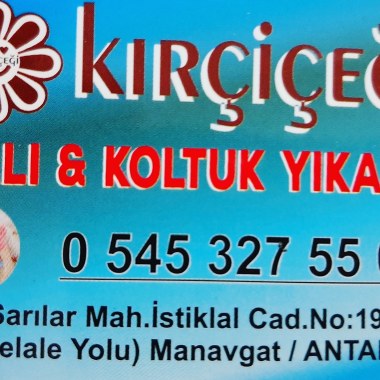 KIRÇİÇEĞİ HALI ve KOLTUK yikama