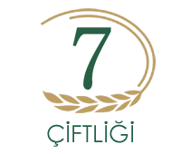7 Group