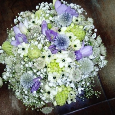 EXPOFLOR FLORISTAS