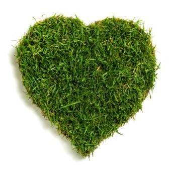Greenheart Gardening Services