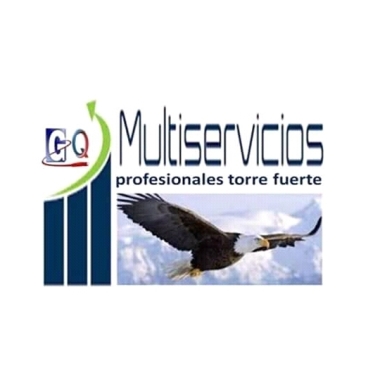 Multiservicios Profesionales GQ