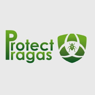 Pragas Recife