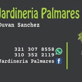 Jardineria palmares