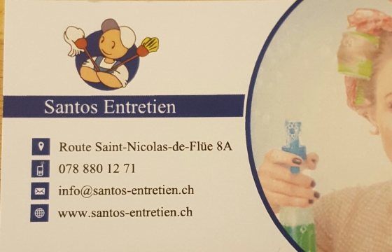 Santos entretien sarl
