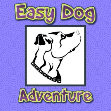 Easy Dog Adventure